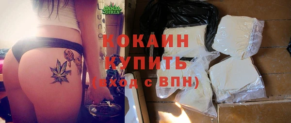прущие крисы Горняк