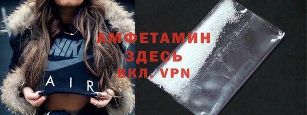 прущие крисы Горняк