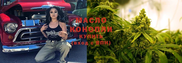 прущие крисы Горняк
