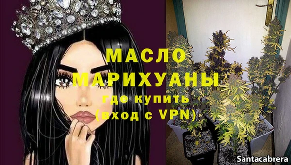 прущие крисы Горняк